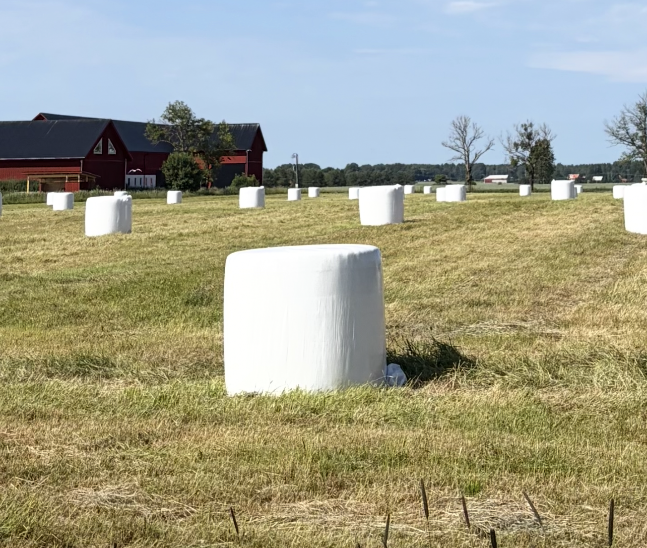 Ekologiskt hösilage